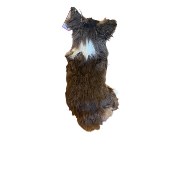 Cuddle Clones Shetland Sheepdog| SHELTIE| REALISTIC HANDCRAFTED| Plush 26" - Picture 10 of 15